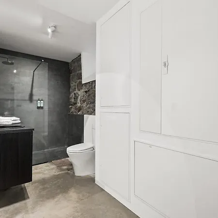 Apartment Spacious In Downtown