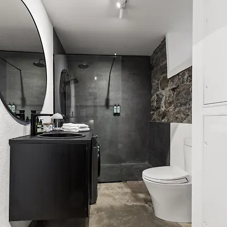 Spacious In Downtown *