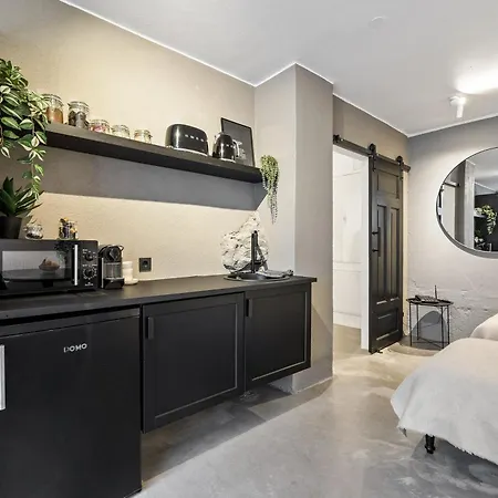 Spacious In Downtown Apartment *